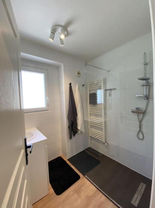 Magnifique Appart Renove Evian Duplex Vue Lac 8 Pers ภายนอก รูปภาพ
